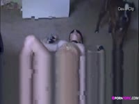 Tied-up kinky slut getting her pussy pleasured by dog